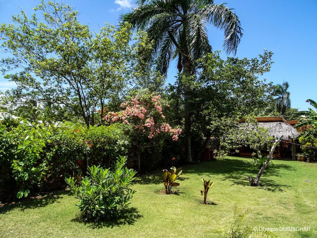 Labellaventura Villa Las Galeras Dış mekan fotoğraf