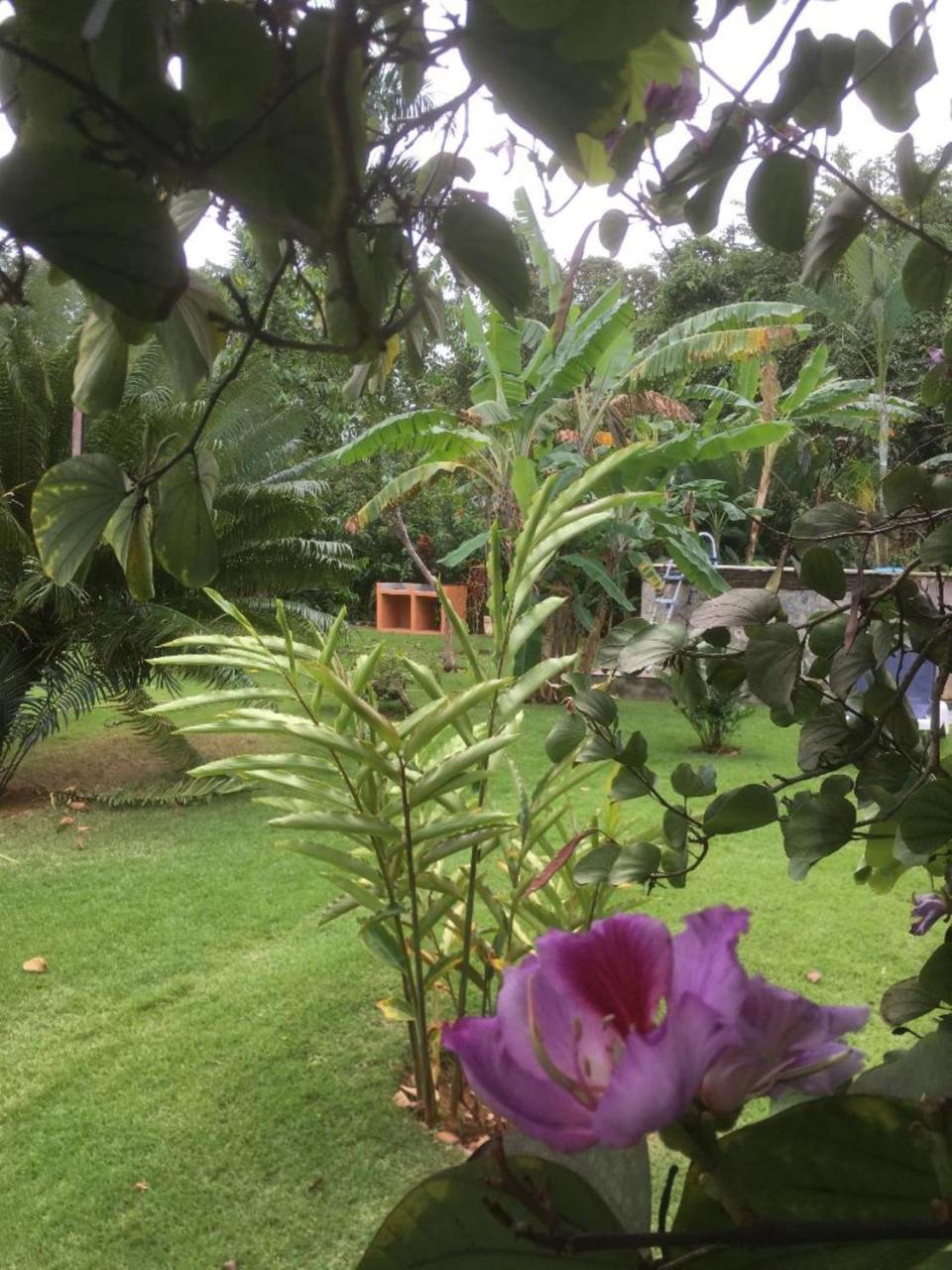 Labellaventura Villa Las Galeras Dış mekan fotoğraf